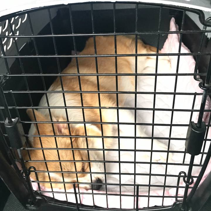 Aef21202 0ec6 4ad8 b3b2 02786db959c9 1565245286003