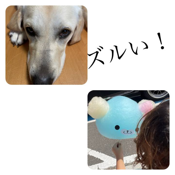 Aef27e47 aba1 497f 9778 3840a3801b7d 1624796846986