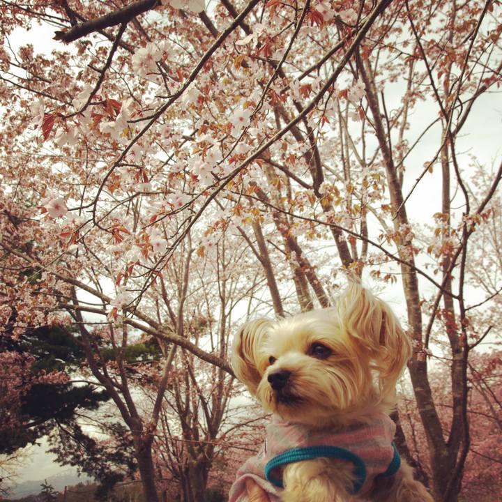 Aef27f8d 1e62 4234 b0aa 0584e7808186 1525424121091