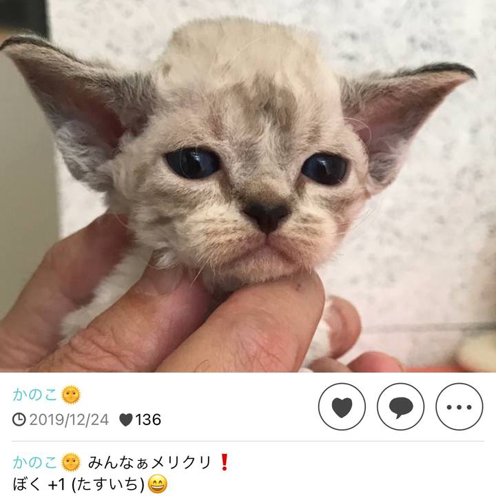 Aef2807a 9ab2 4b5b a6a3 b41a6305a12d 1640329434326