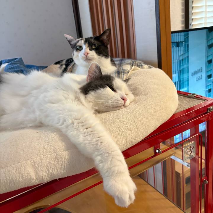 Aef28935 b40b 4379 8488 9ee3218fb782 1775890234697