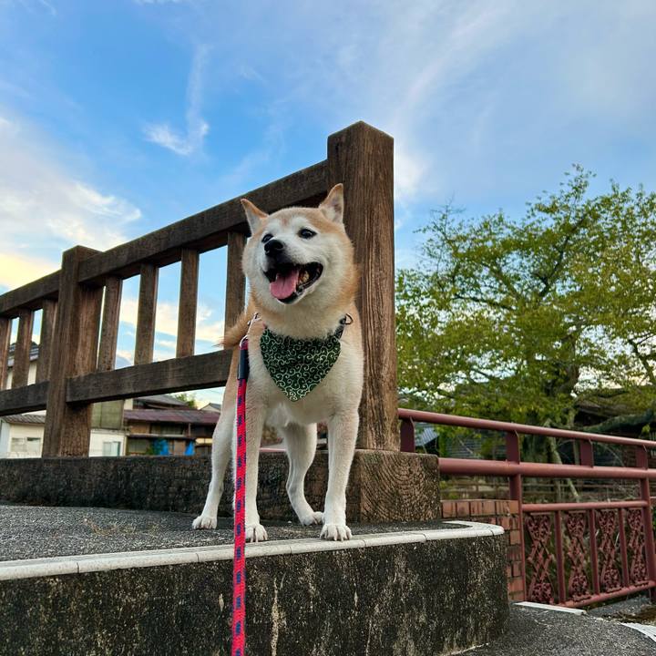 Aef28985 f1fa 4bf2 b51b 1ade0c55aa1a 1757506904841