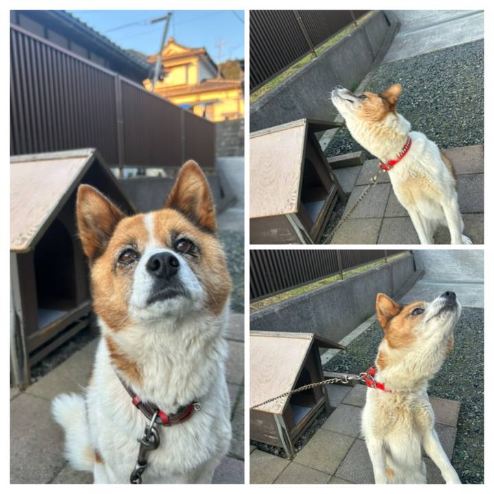 Aef2b870 a98a 4580 9dc9 2f14a23d01f7 1763671222099