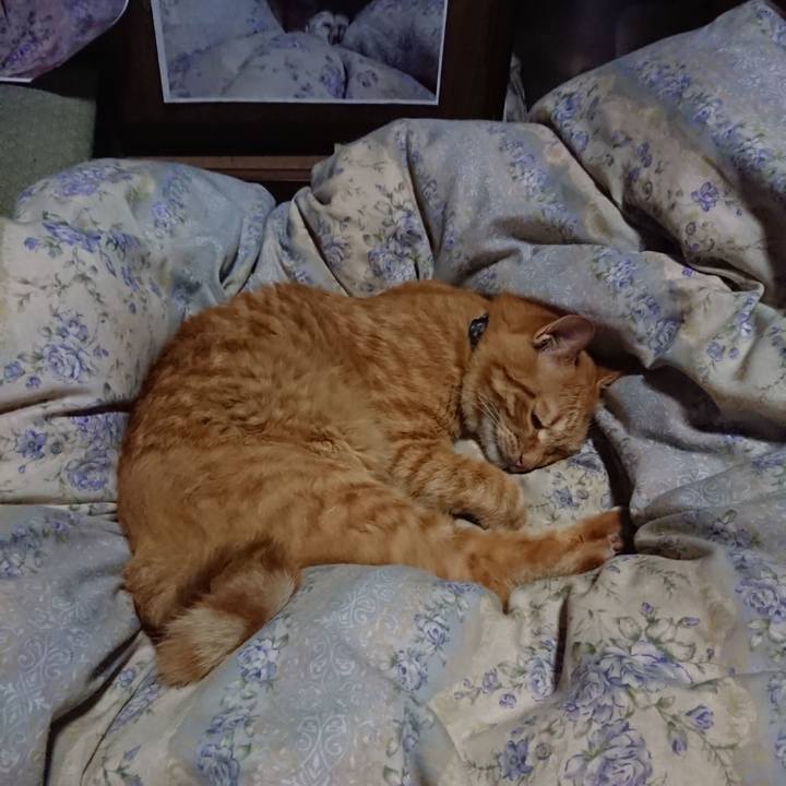 Aef2eaf9 6b25 4919 9506 7bf9863a8c21 1661430041630