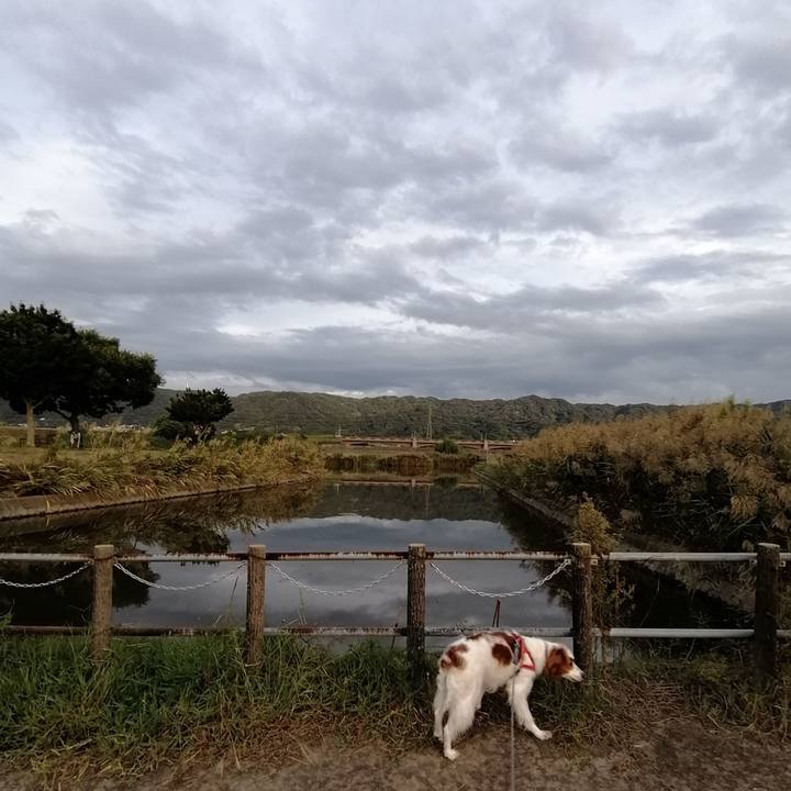 Aef2f03e 9d18 478a 8ef6 4cb092cebbc2 1570533705113