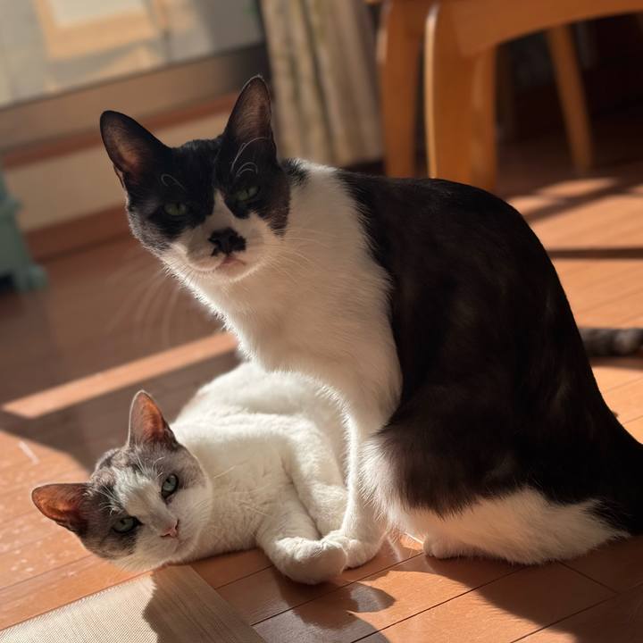 Aef2fca3 7b27 454e 9904 8570c7517ab4 1769834896524