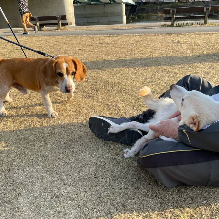 Aef2fdb9 a7fb 4144 9e26 200f880200c2 1678011728376