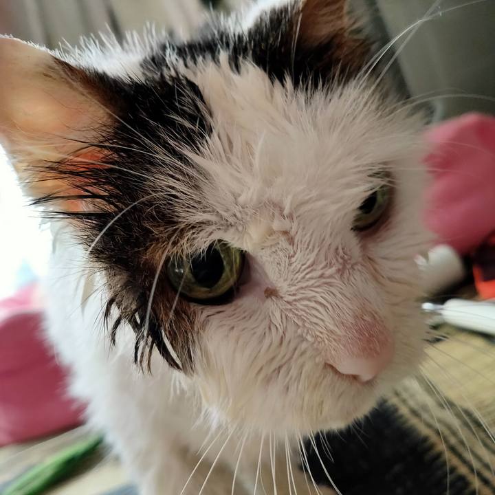 Aef30137 9bf3 45b5 9190 e13a78dfcbc9 1597130768266