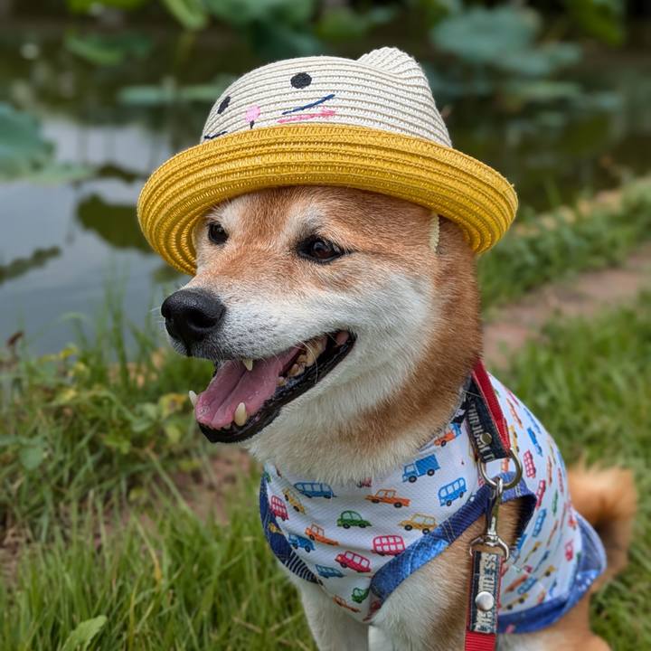 Aef33764 f6ef 4c9a be61 41f62bd83304 1721345996939