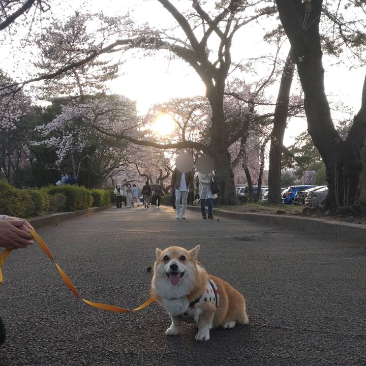 Aef344d8 377b 482f a06c fde2631fcab5 1649595674917