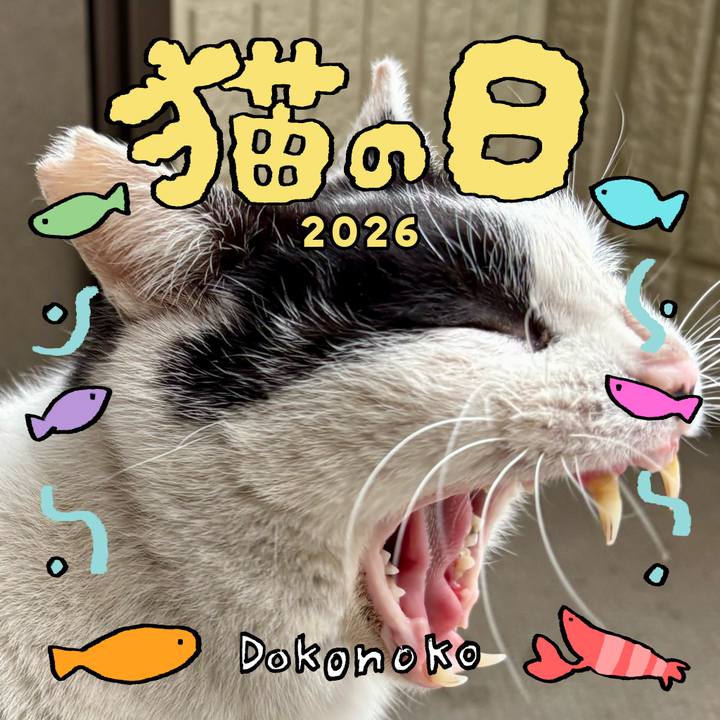 Aef34c12 345c 4d74 9724 f1bd592a70f9 1771720986478