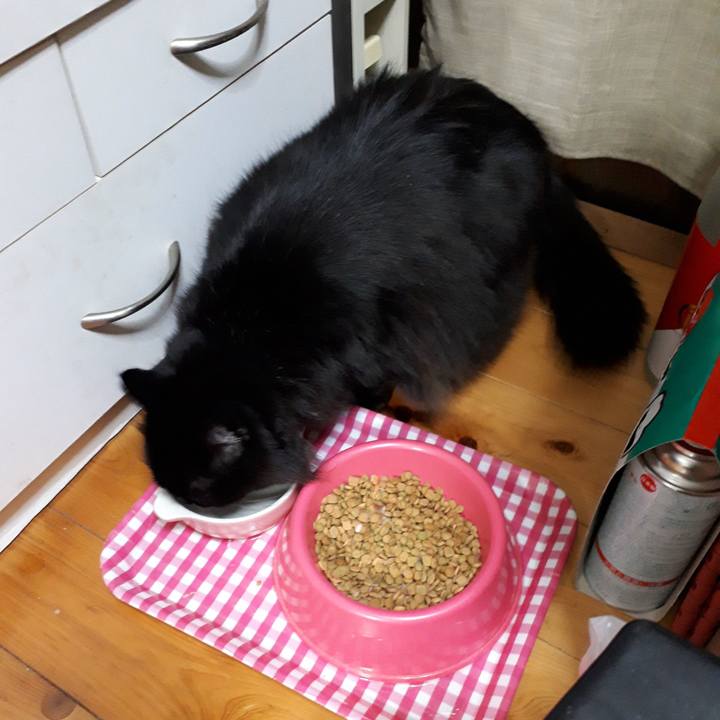 Aef37810 2bb6 4172 bff1 a90138735669 1518468379806