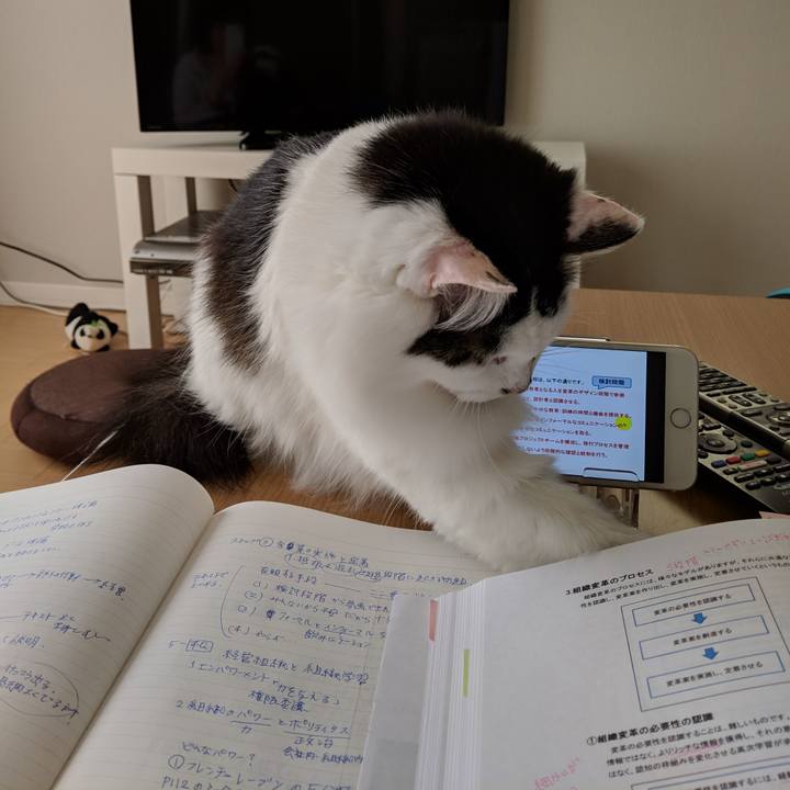 Aef3809d 29a8 474b b837 aec058df312d 1544921666424