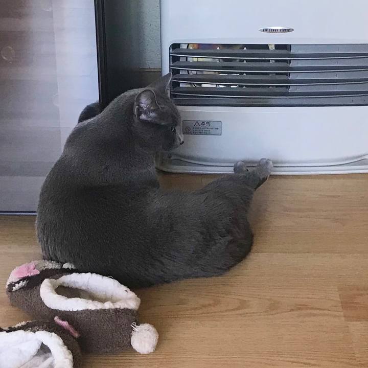 Aef39960 9171 40f0 92d3 9a3276a4bad6 1574472014870