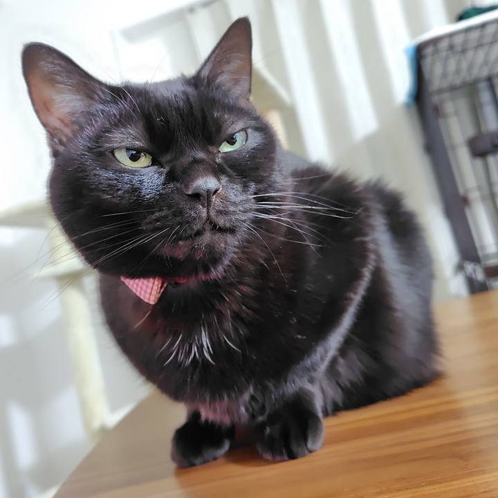 Aef3ba6f 01b8 439d a998 edcb765ed3ee 1735039147828