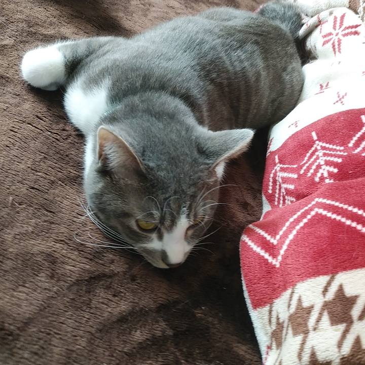 Aef3ce13 0cbd 4da4 aad1 c379c559d03b 1586150827379