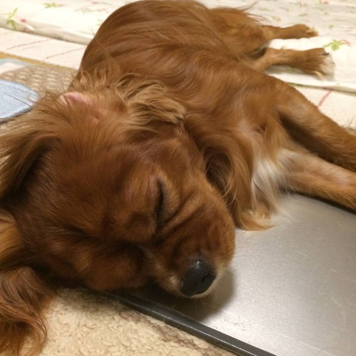 Aef3f60f 1bb8 4305 b767 3097ed36ad8b 1562763699567