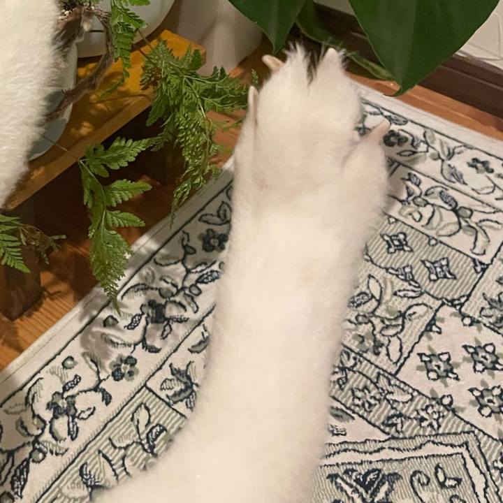 Aef4210c a5e4 445d 9359 b7a42142dd60 1709729690338