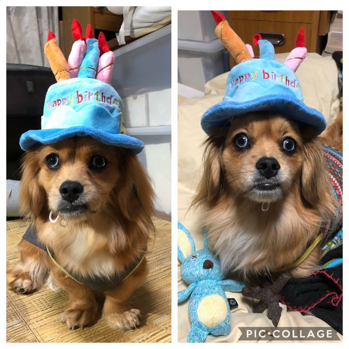 Aef475ad 3a36 4822 bd38 7fd507590aa7 1551278333828