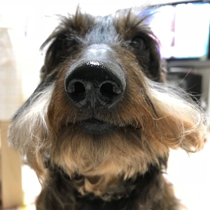 Aef47c36 c962 45b2 a28b 675a44c8c87d 1524928808960