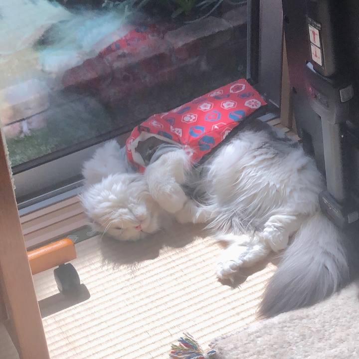 Aef4fae4 b6c5 45f7 87cb fcc36e09110f 1648556665098