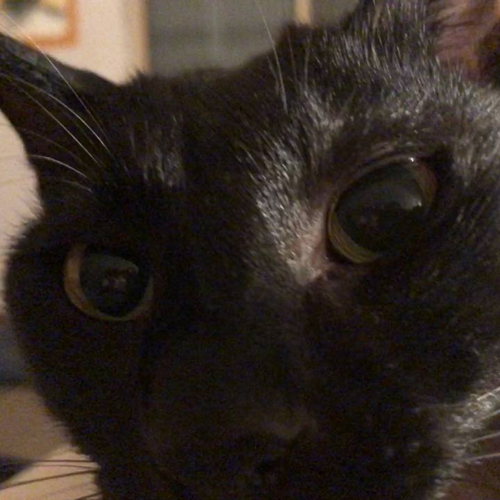 Aef50d0f a3a8 40c7 b1c0 0c4fbdb4b165 1684853139217