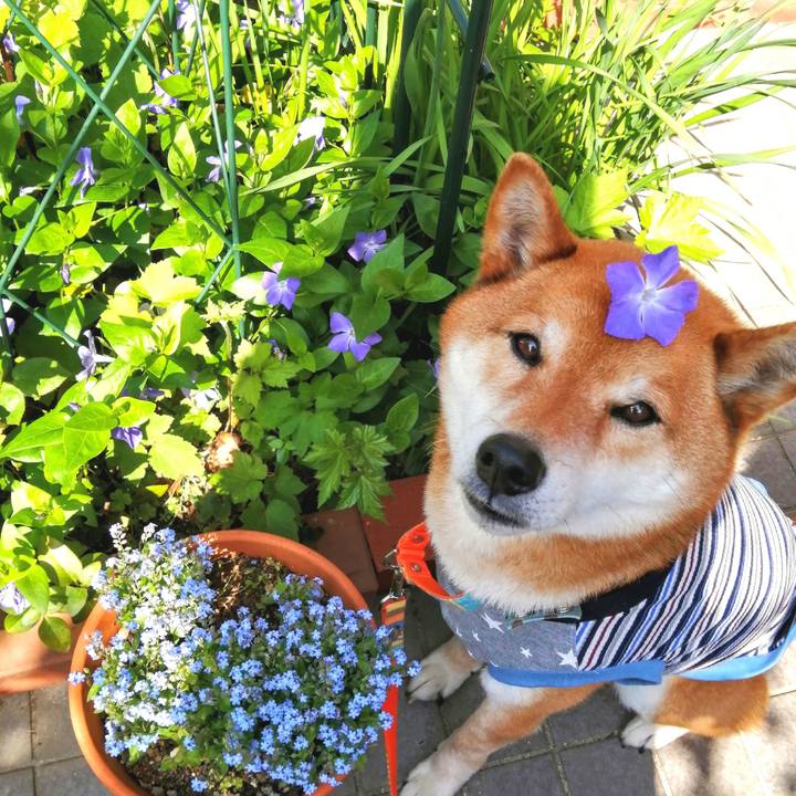 Aef51430 4da0 437a 97ba 0cbcdf1dba5d 1618186977121