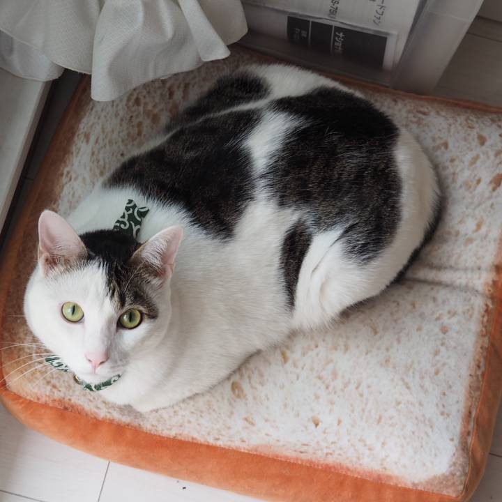 Aef535a2 7b41 457b b10b 5615a33f6693 1527672612891