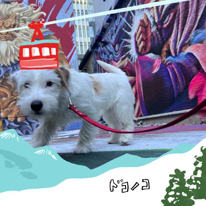 Aef55e74 b0d7 4567 960a 12fed4527347 1706968792378