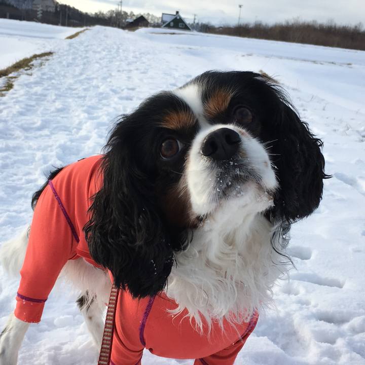 Aef56300 074f 4568 bb65 4d7f165fda72 1514706953594