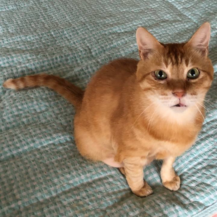 Aef583a3 7329 47bc b18a 5ae876c57be6 1691275016666