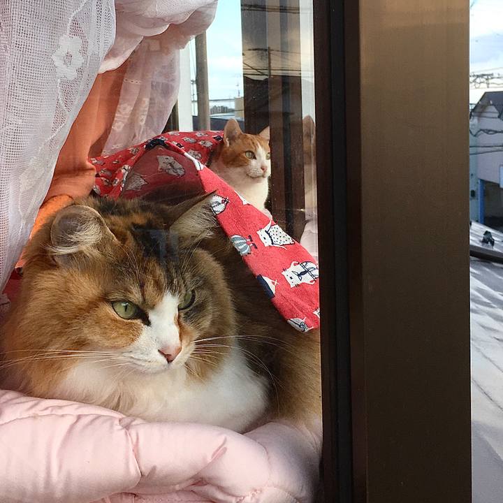 Aef5956c b201 4707 b99c ea9aa4635d2d 1580871648437