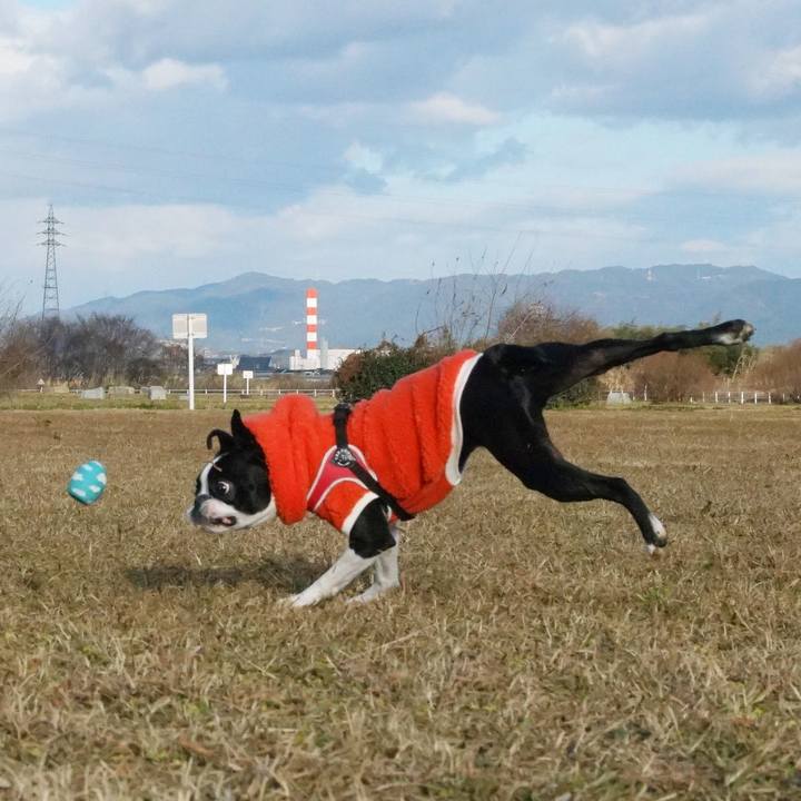 Aef5b22f 9c93 49df 8d91 c7d4471a58c6 1514804481692