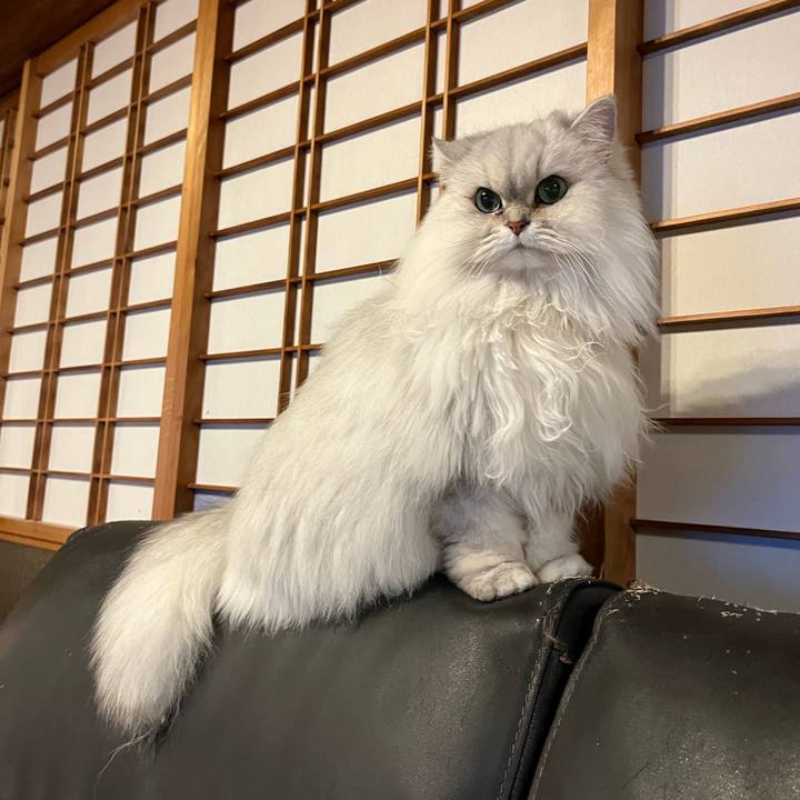 Aef5c85b 2ac7 4cc8 8b57 fed69877ca68 1736330615648