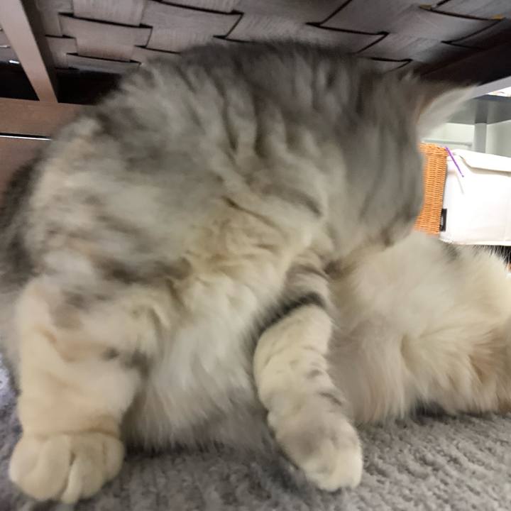 Aef5cada d97a 46db a735 c5c7aee36015 1706790064359