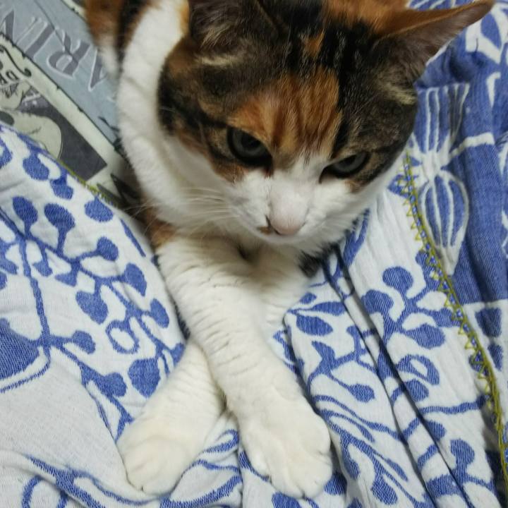 Aef6066b 85d6 4479 be4a d247ef90d2d9 1530094004666