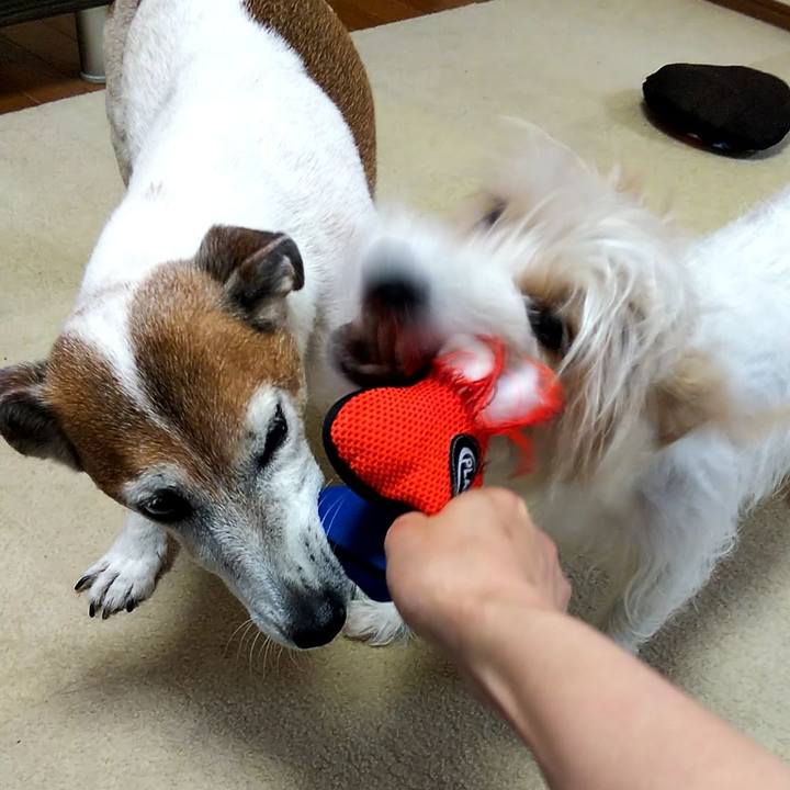 Aef60c08 6e51 4655 8aca 2b5385bca82b 1528808053030