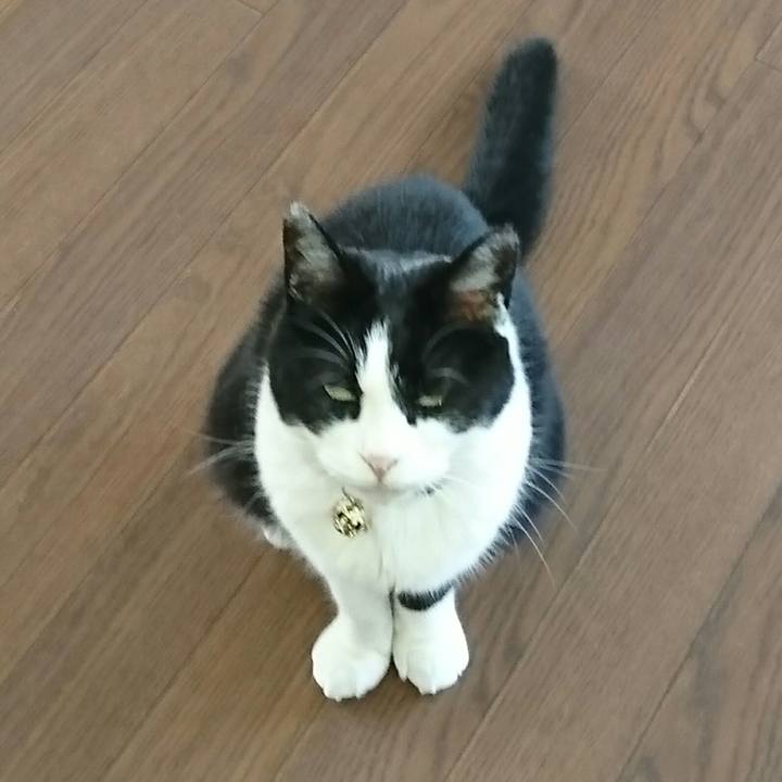 Aef62e01 0b0b 417b 8cf6 8996b5880d48 1563403624401