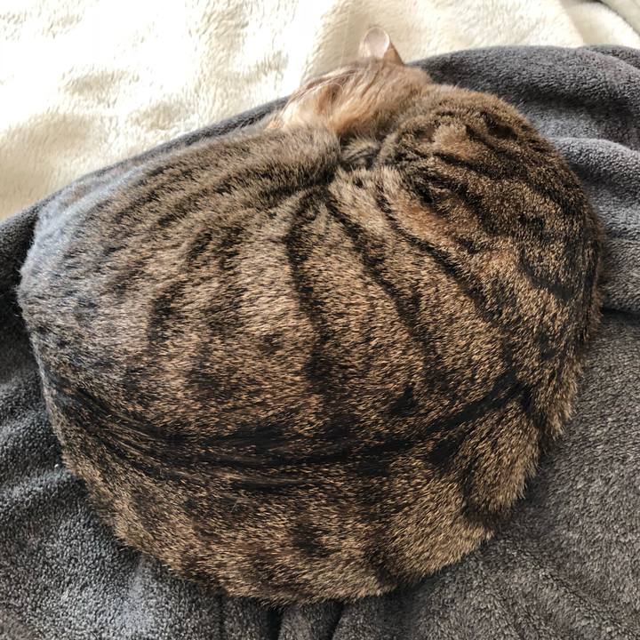 Aef65e80 60fa 4a19 9c1b 4f3e2864fc5f 1523602595829