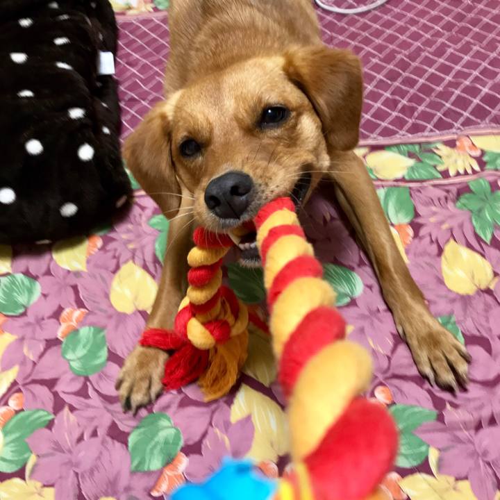 Aef67538 6147 4cd8 865d 671aaa4a6524 1532094050687