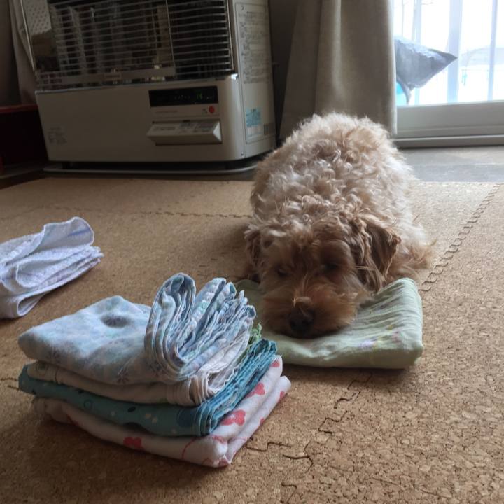 Aef676d8 80d1 4d2d a79a 5c39b809b6fc 1519525400304