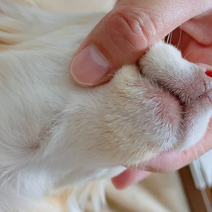 Aef67bda 44f3 4786 9808 164cf65a445f 1612775478119