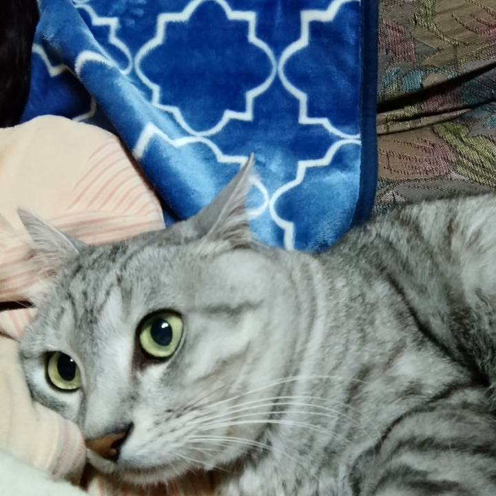 Aef6c792 08ee 45ad aa98 ba6f6c532a5d 1658327489141