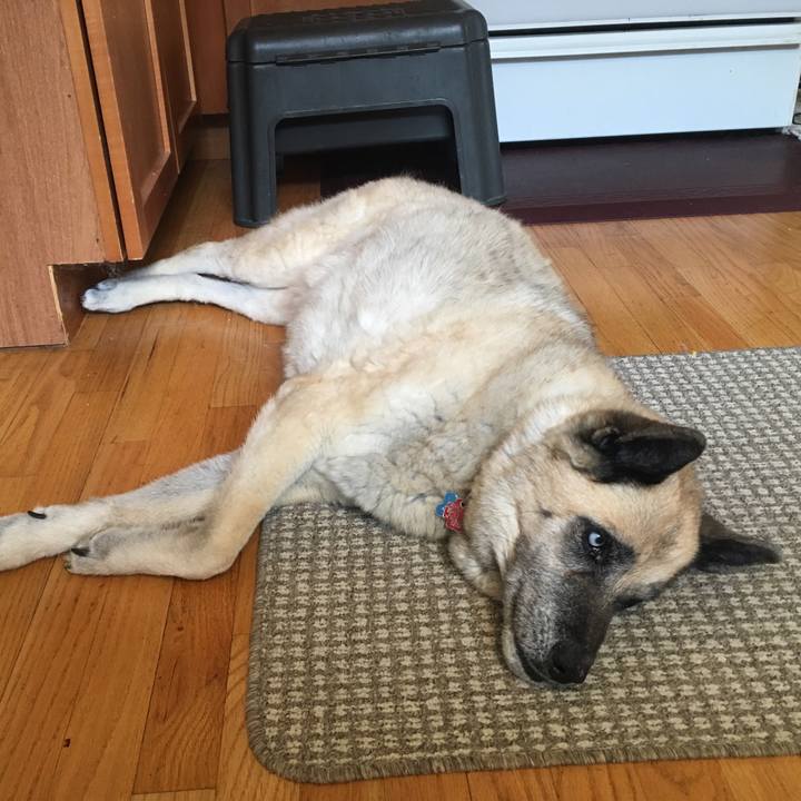 Aef7241a 7e7e 434a a655 8e0770cf262a 1556919524395