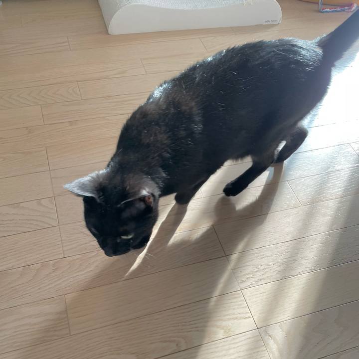 Aef734ad 0cd5 4574 b0cc c31e8001616e 1653143003289