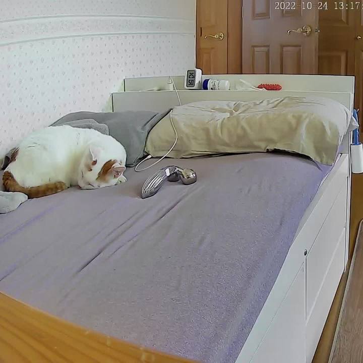 Aef76dcc f614 42ba 897c 187adee57948 1666585128334