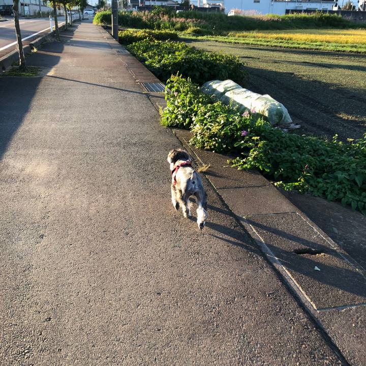 Aef77ff8 9eef 4281 a636 3ae485f62cf2 1538776042063