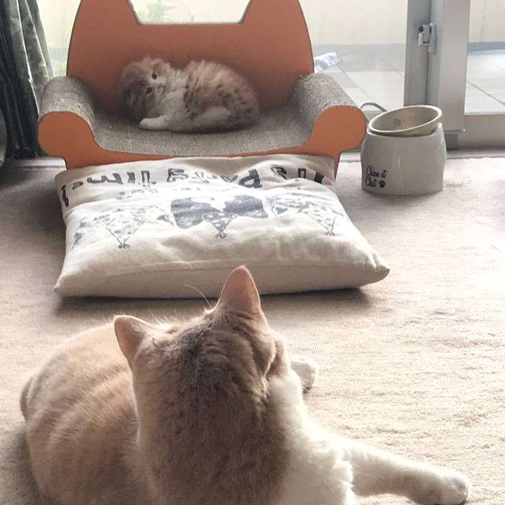 Aef7c394 ff17 425d 9d53 fe1d27e5484c 1514887146909