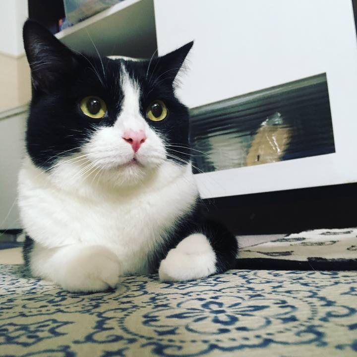 Aef7d736 0707 420e a29e cc8c66045334 1570707213890