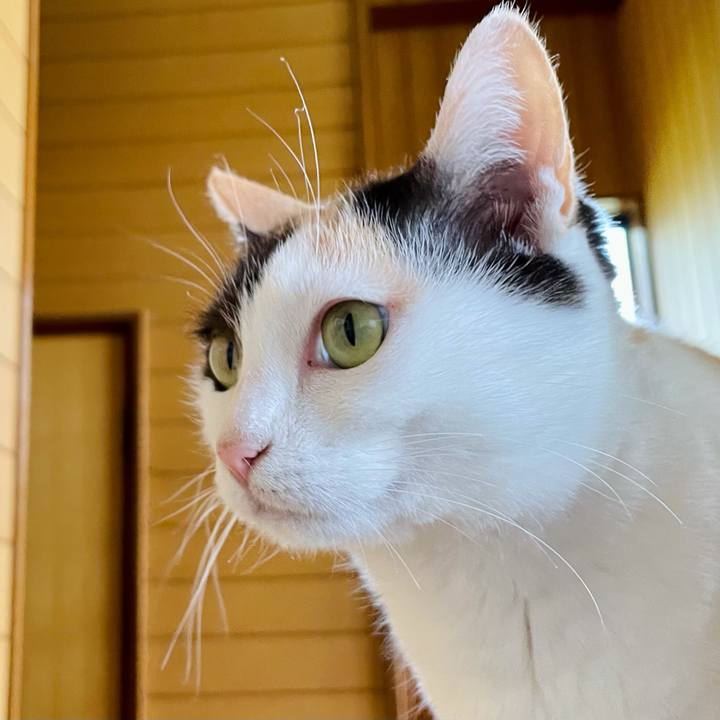 Aef82032 936e 484a 97b4 05ddf3c36f09 1623464991491